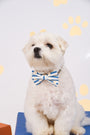 Pet Bow-Tie - Paw Stripes | The Elly Store