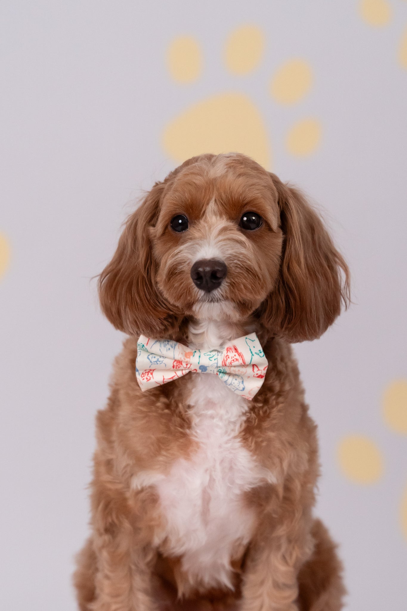 Pet Bow-Tie - Colourful Puppies | The Elly Store