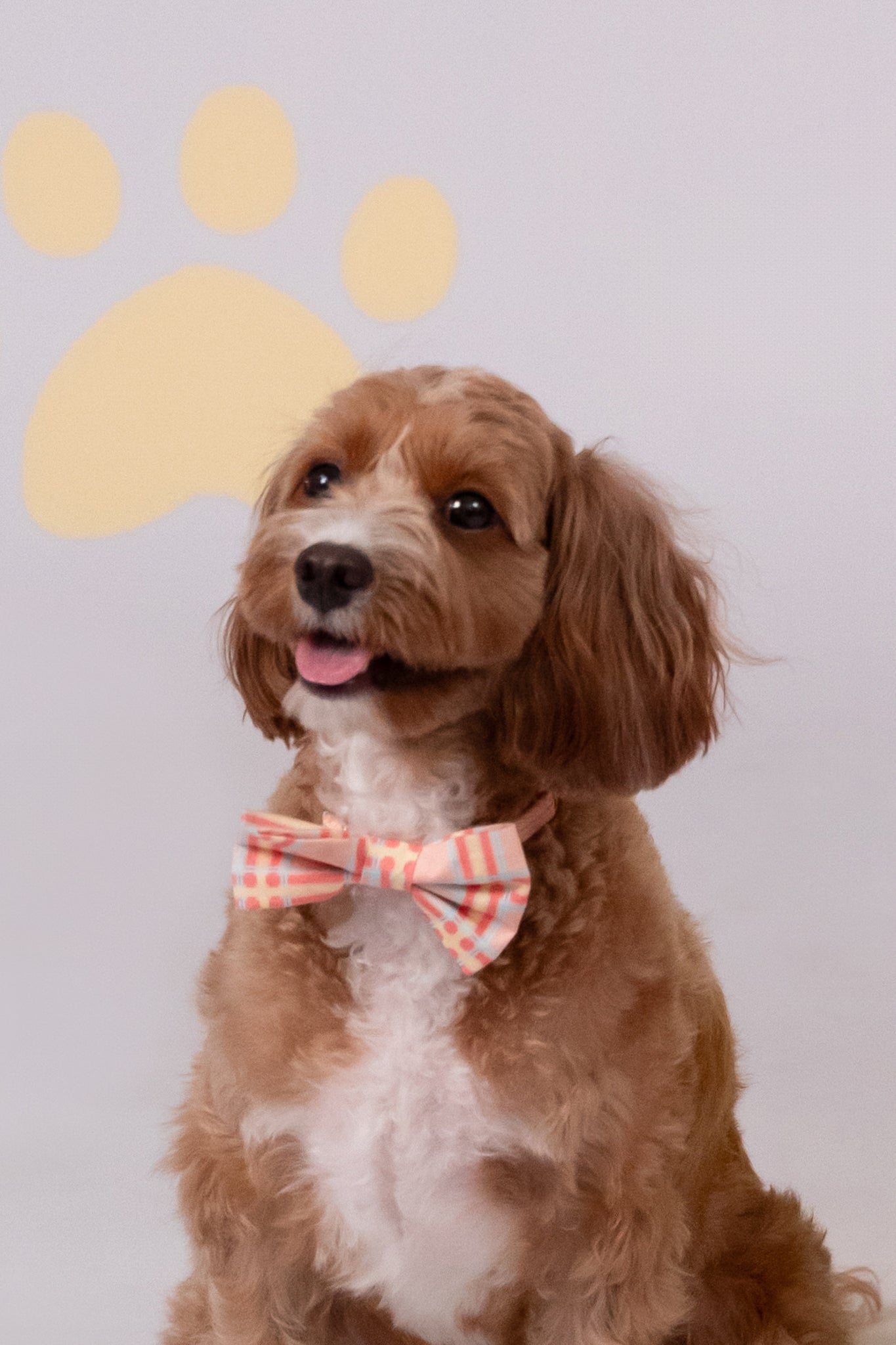 Pet Bow-Tie - Pink Terrier Plaids | The Elly Store