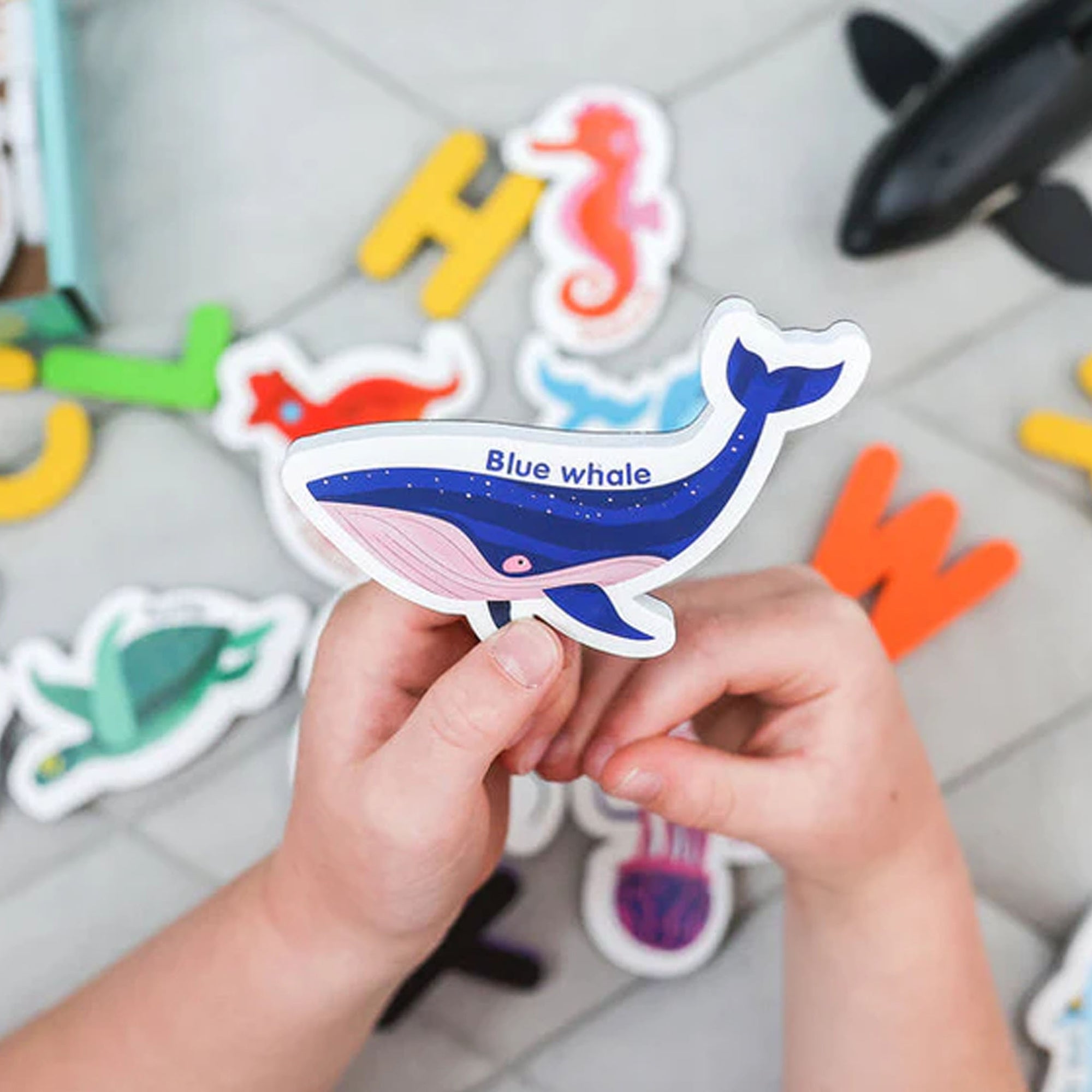 Curious Columbus - Magnetic Sea Creatures Letters 