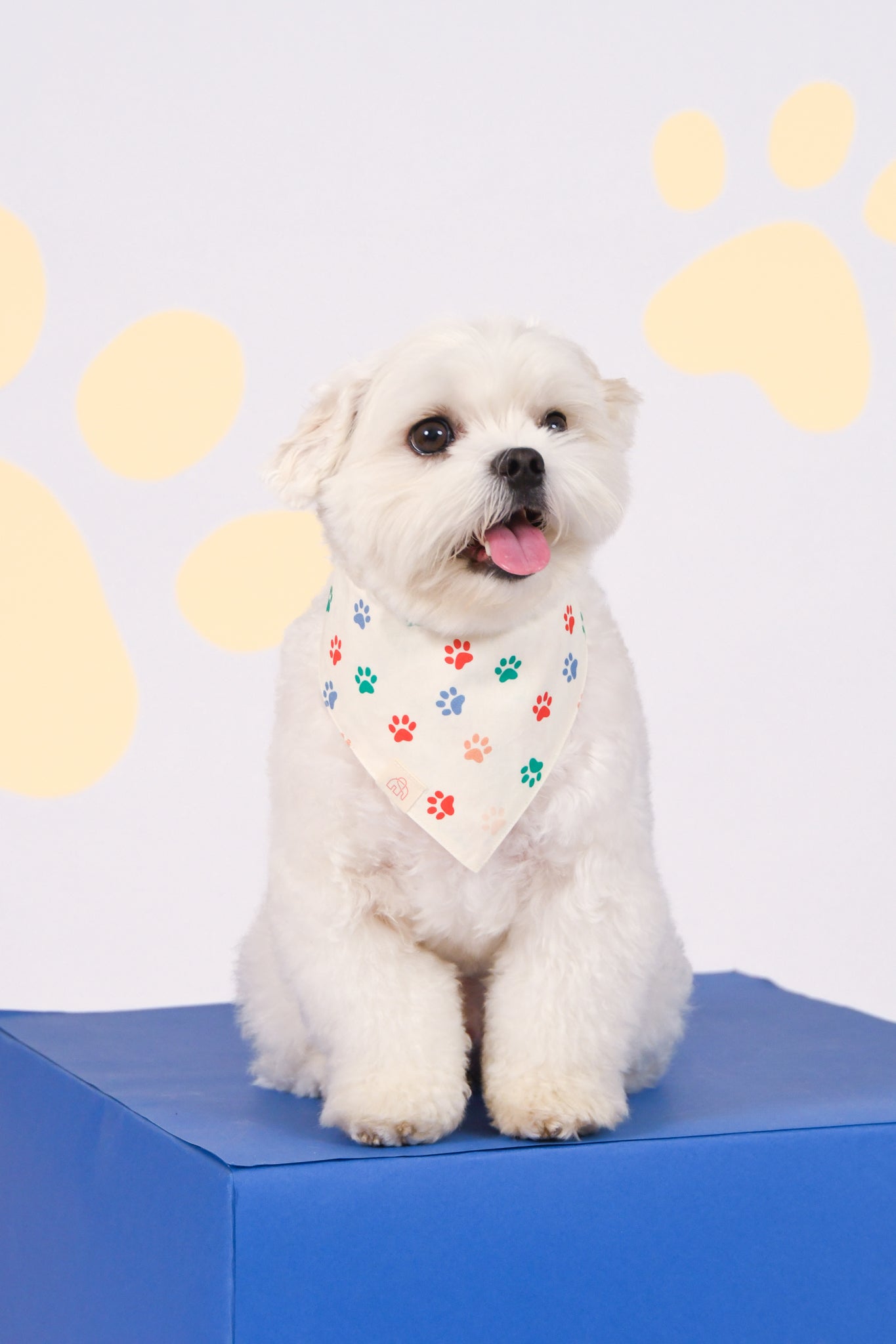 Pet Bandana - Colourful Puppies / Colourful Paws | The Elly Store