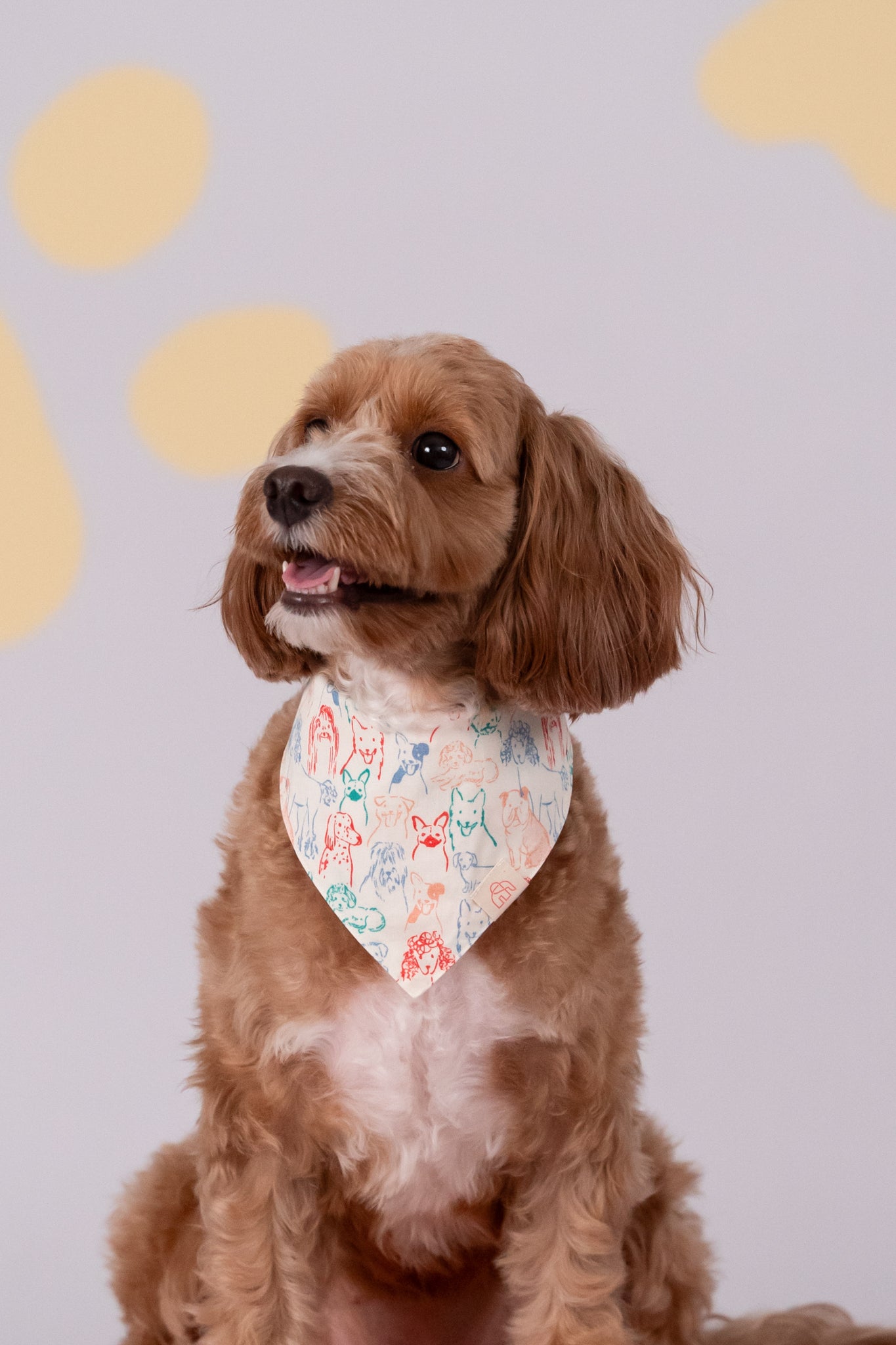 Pet Bandana - Colourful Puppies / Colourful Paws | The Elly Store