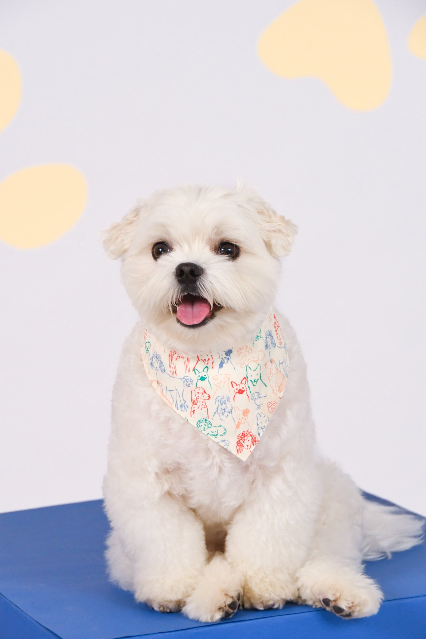 Pet Bandana - Colourful Puppies / Colourful Paws | The Elly Store