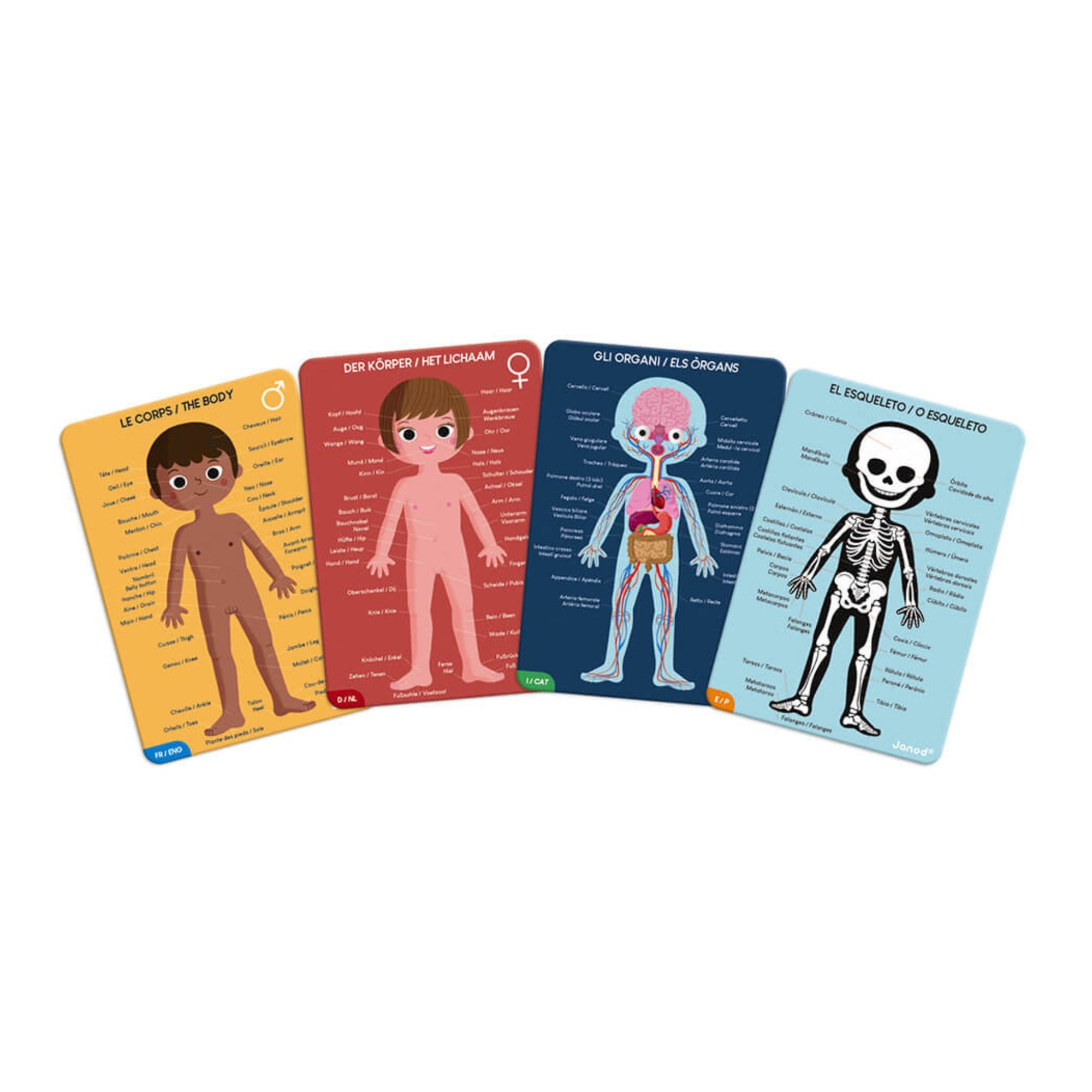 Janod | Educational Puzzle - Human Body | The Elly Store