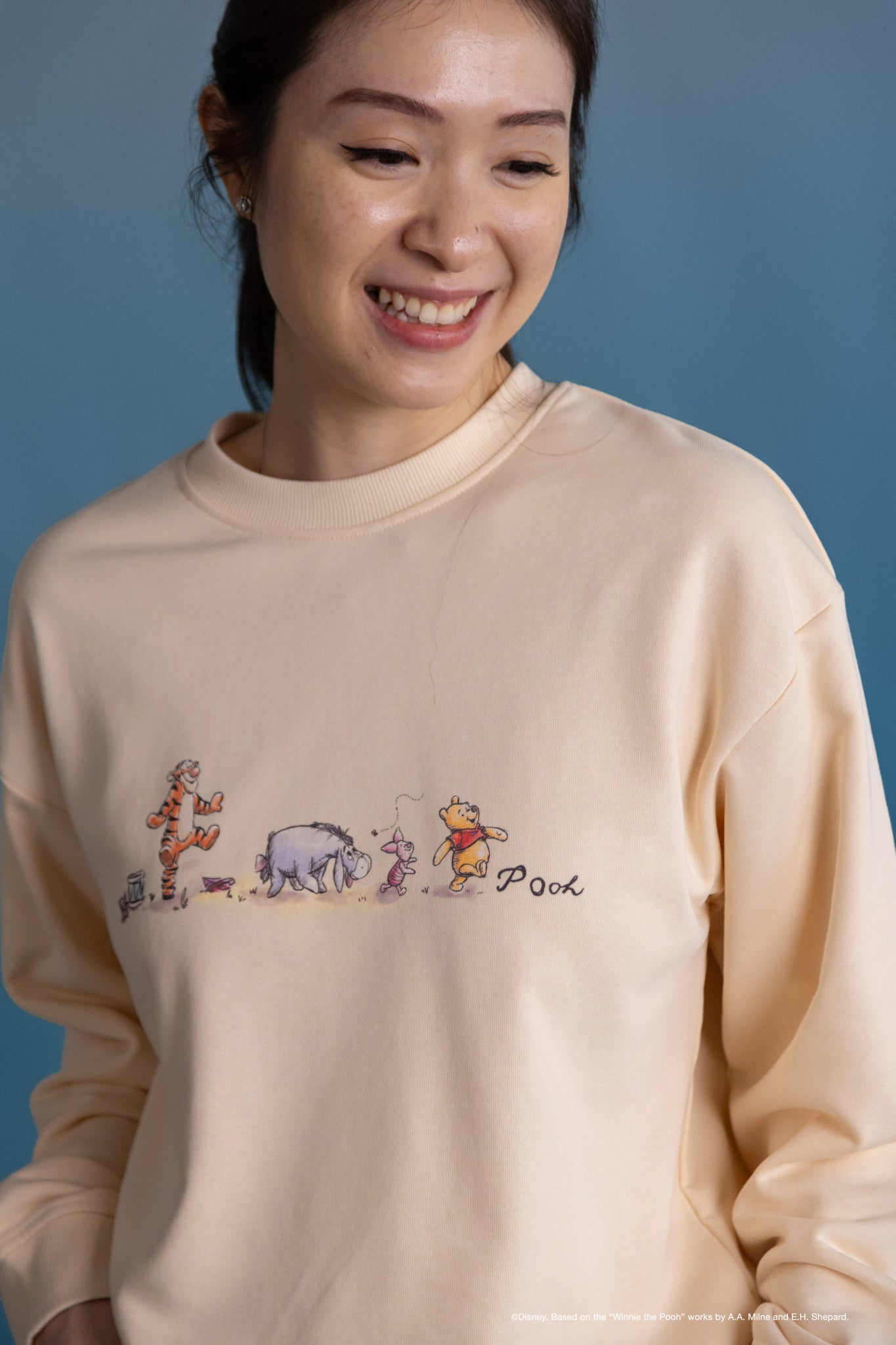 Adult Pullover - Pooh and Friends