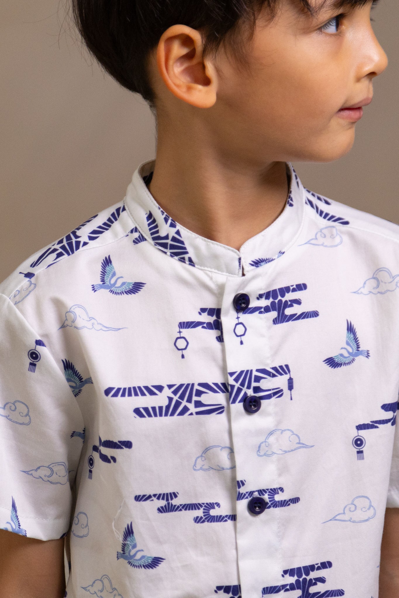 Mandarin-collared Shirt - Porcelain Clouds